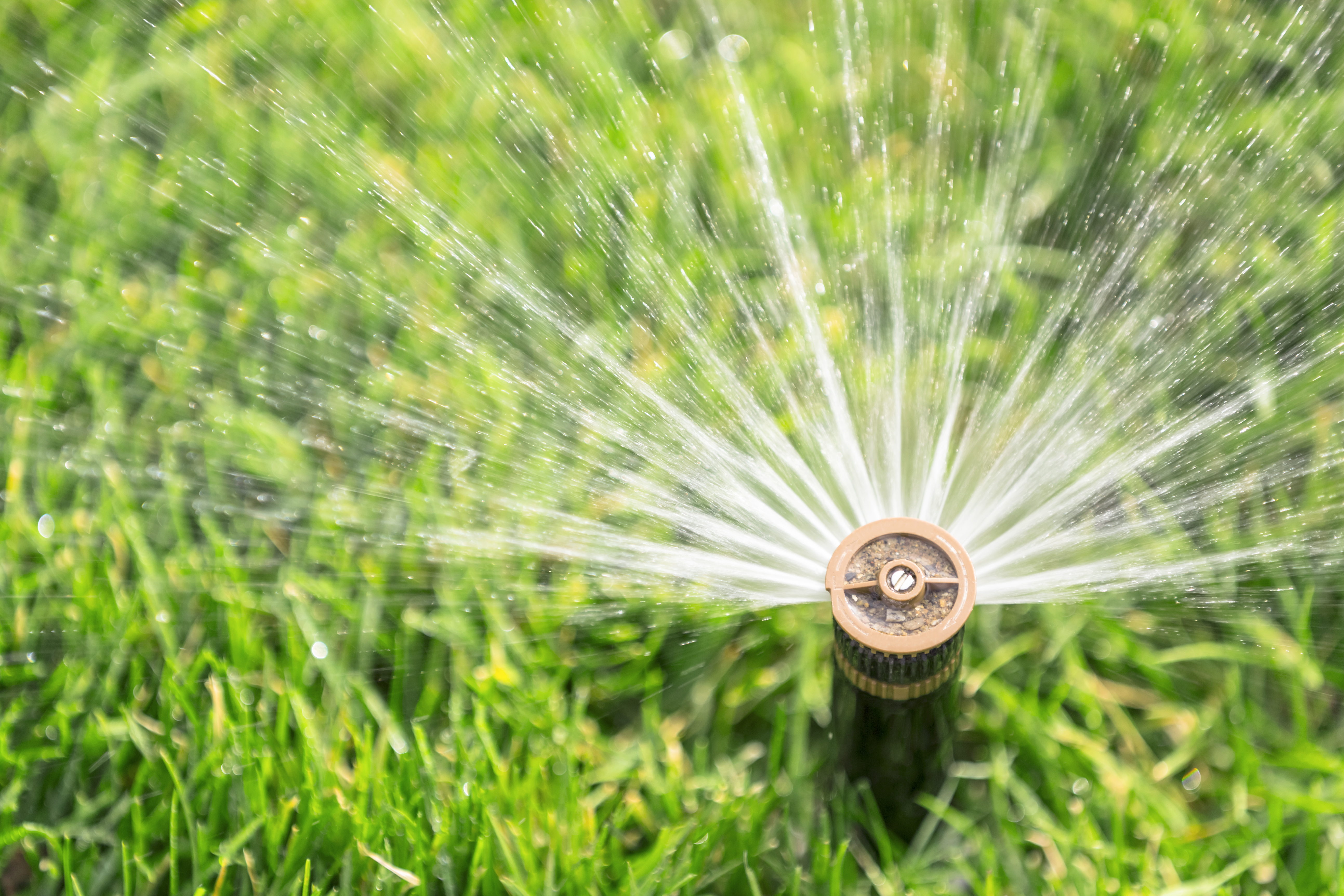 in-ground sprinkler