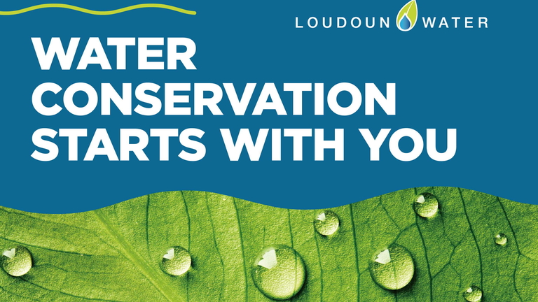 water conservation starts with you