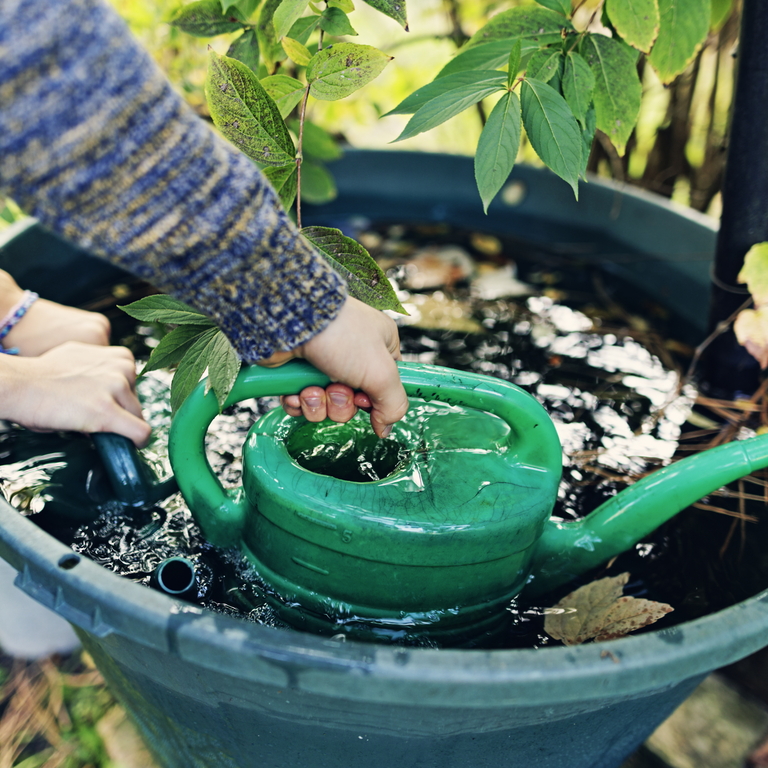 Planting Hero Image