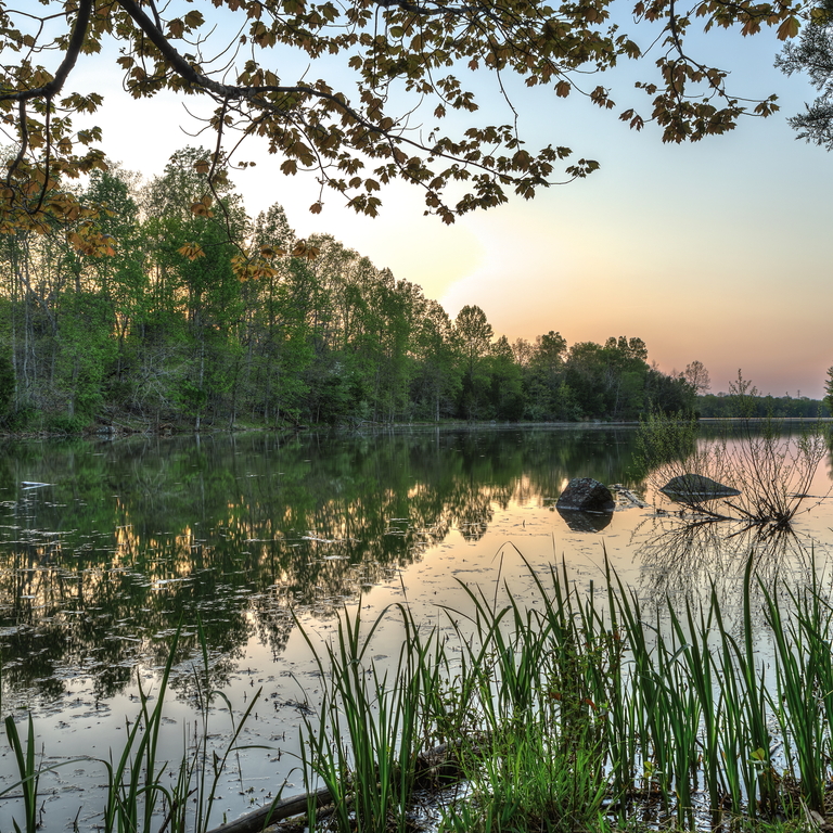 beaverdam reservoir peaceful