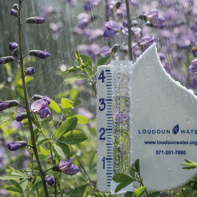 rain gauge