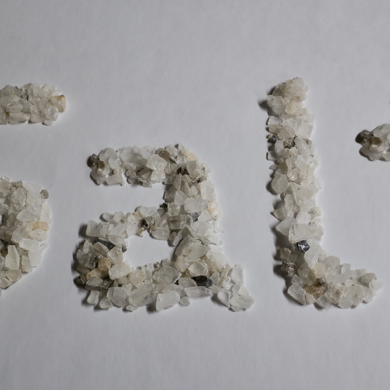 salt word