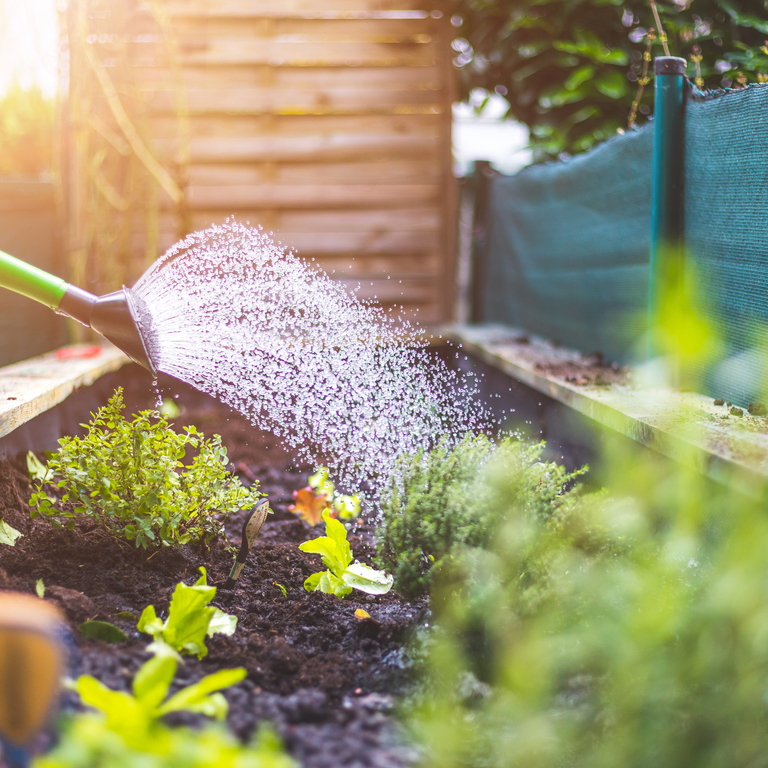 watering can and urban garden