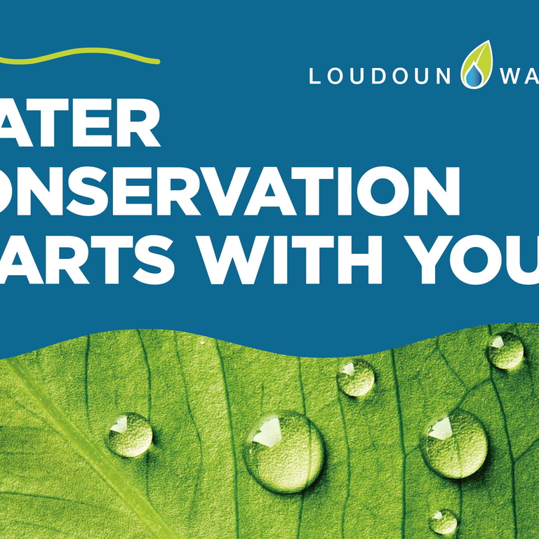 water conservation starts with you