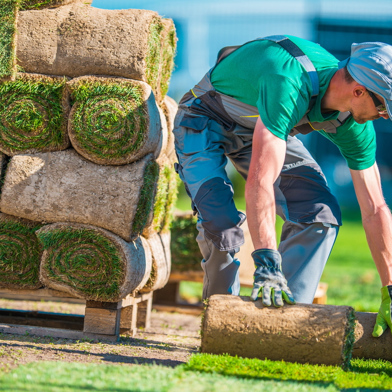 lawn care