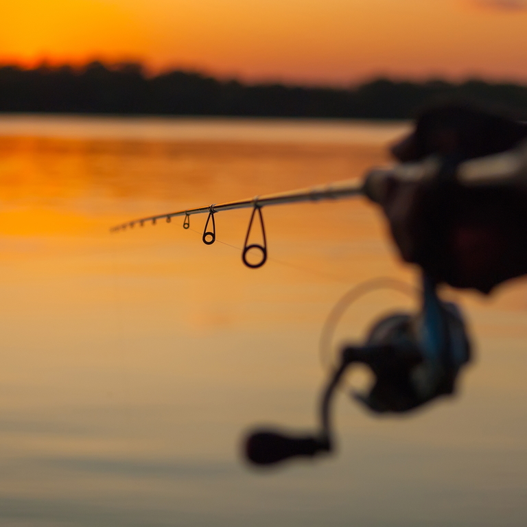 fishing