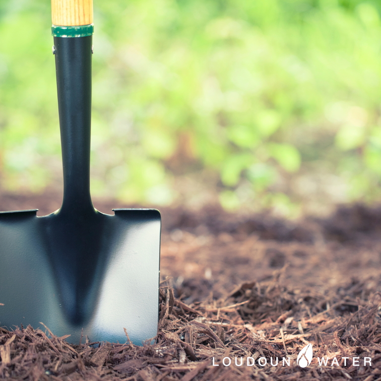 digging