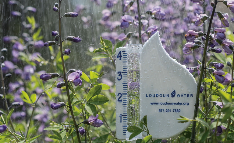 rain gauge