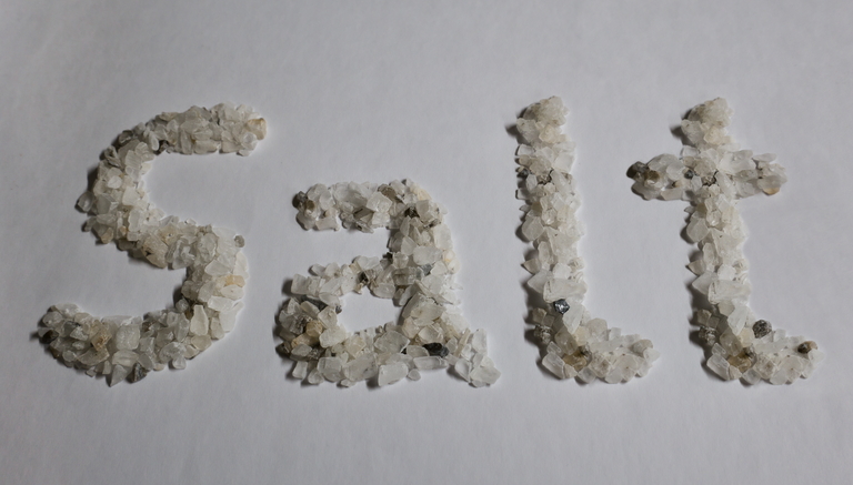 salt word