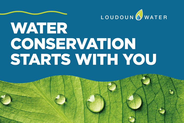water conservation starts with you