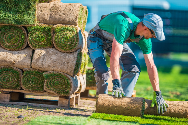 lawn care