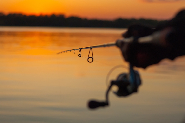 fishing
