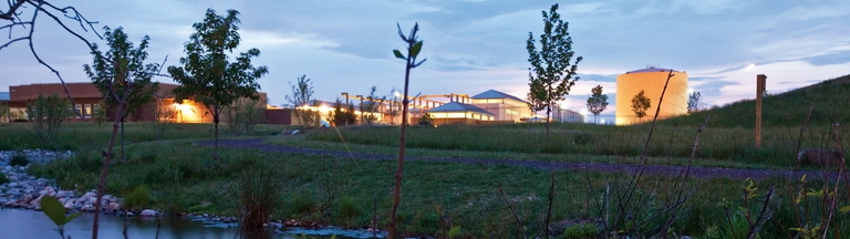 water plant
