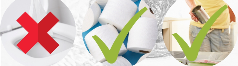 toilet paper