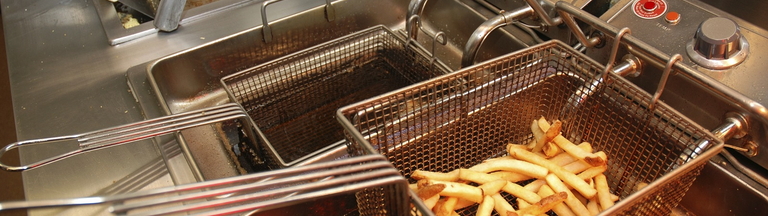 fries