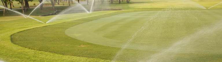 sprinkler