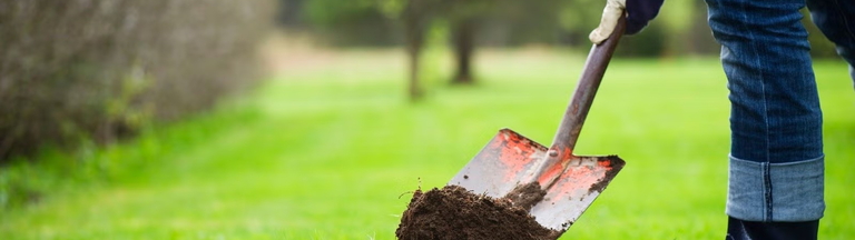 dig